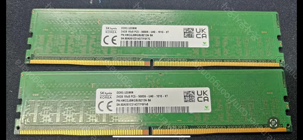 하이닉스 언락 8677클럭 48GB (24 x 2) DDR5