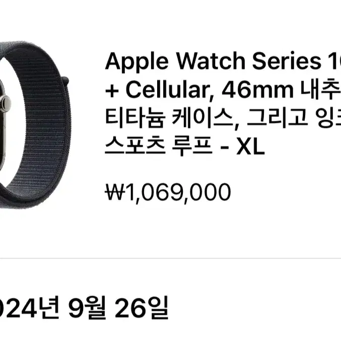 애플워치10 GPS + Cellular, 46mm 내추럴 티타늄, 잉크