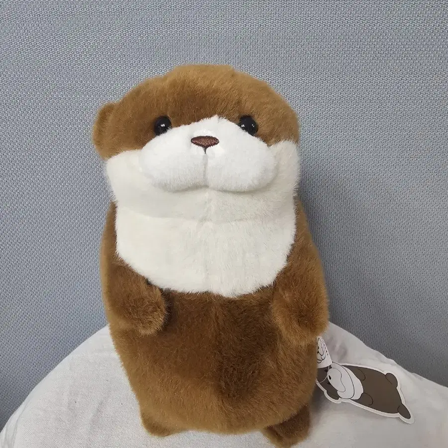 우수우소짱 인형27cm (코스튬 2종류)