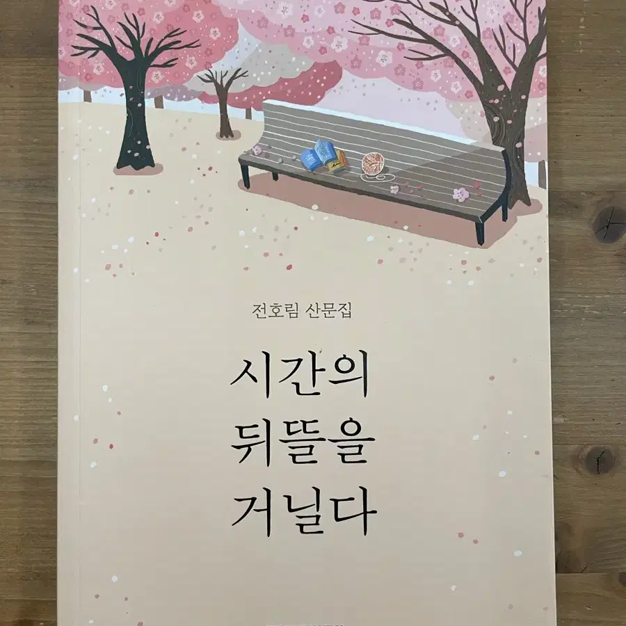 시간의 뒤뜰을 거닐다 : 전호림 산문집