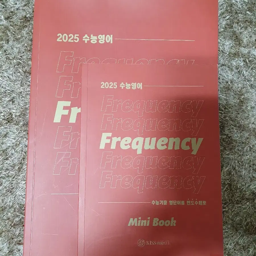 2025 션티 Frequency 프리퀀시