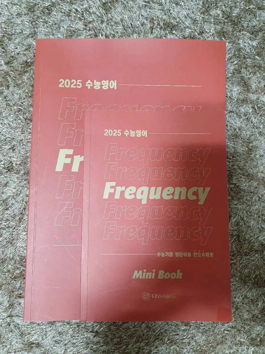 2025 션티 Frequency 프리퀀시