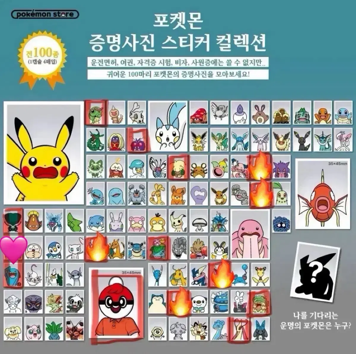 포켓몬 증명사진 팝니당