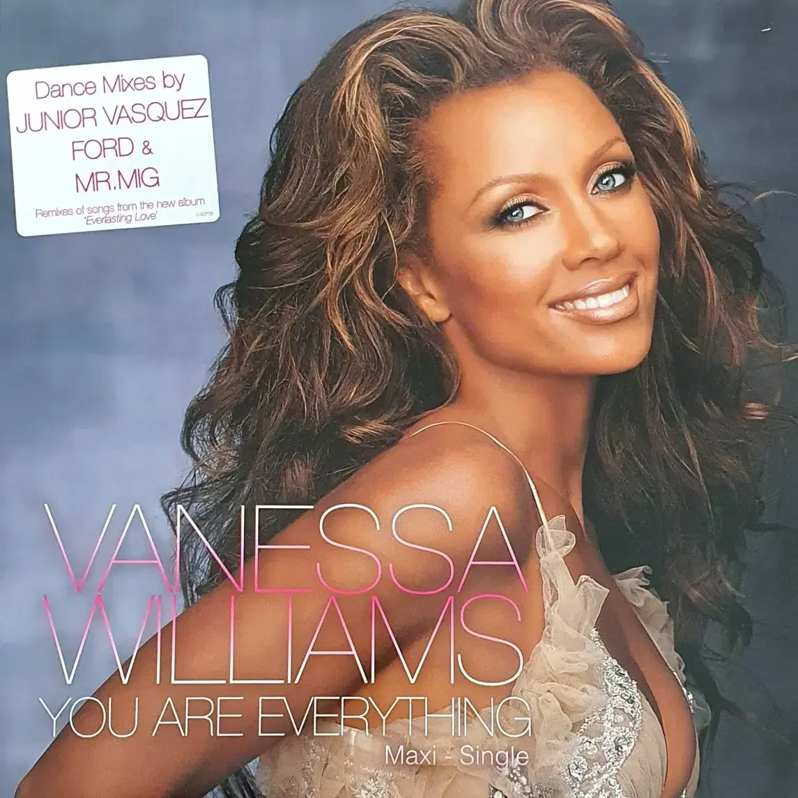 LP ㅡ Vanessa Williams / 미국음반