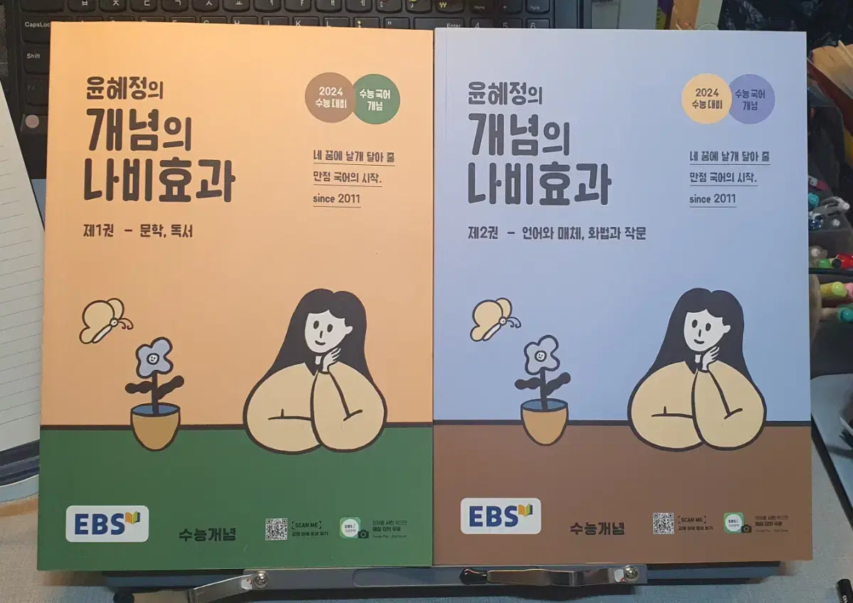 ebs 윤혜정 개념의 나비효과