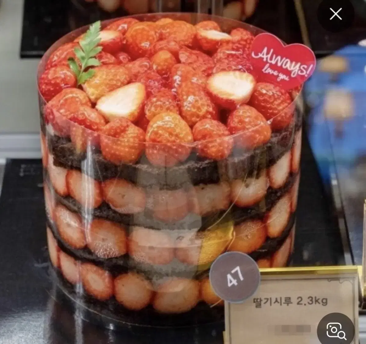 성심당 딸기시루 케이크