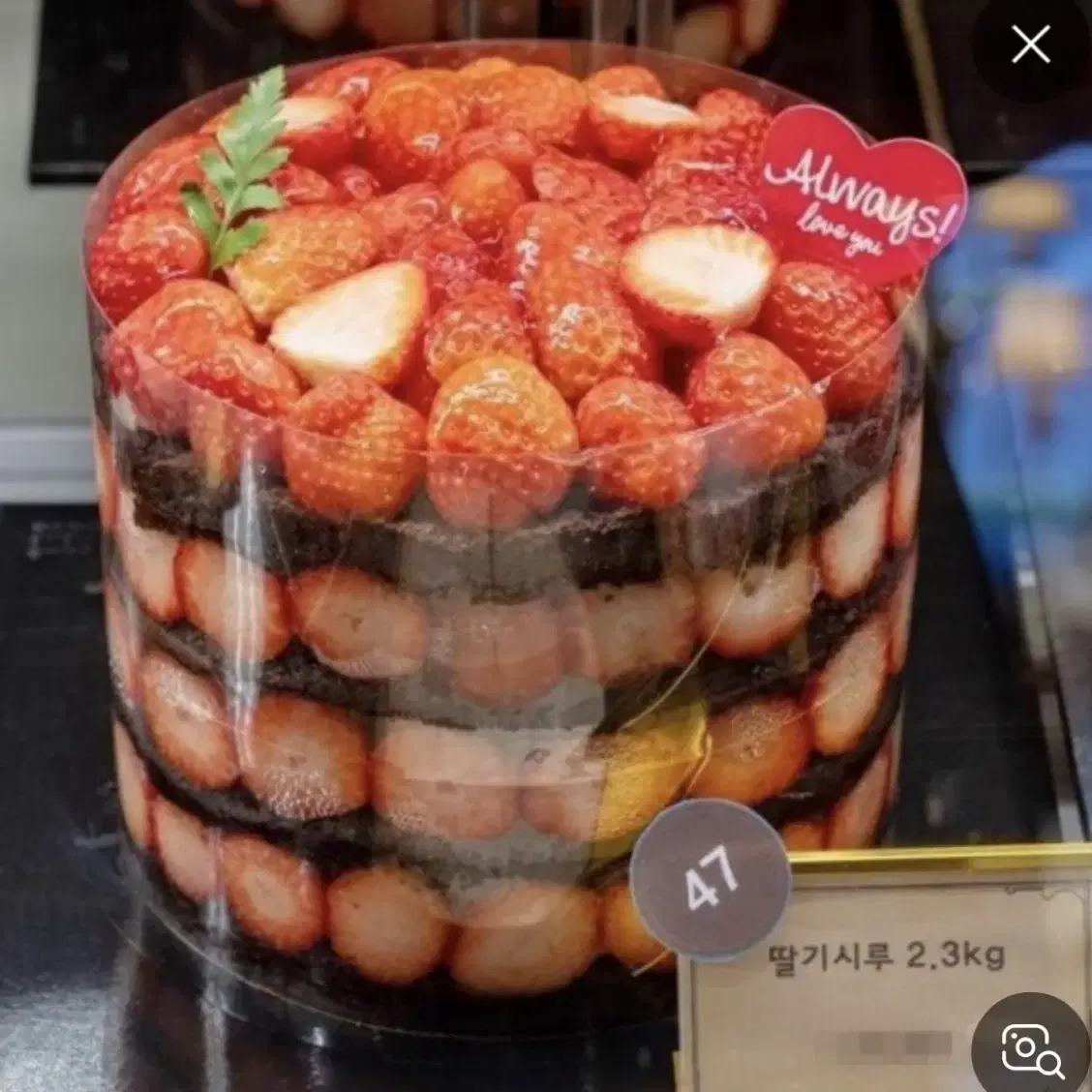 성심당 딸기시루 케이크