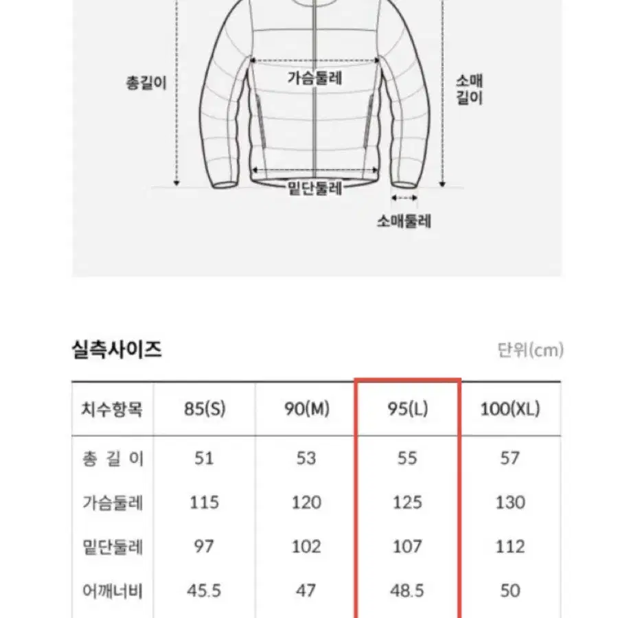 노스페이스 글로시 다운 자켓