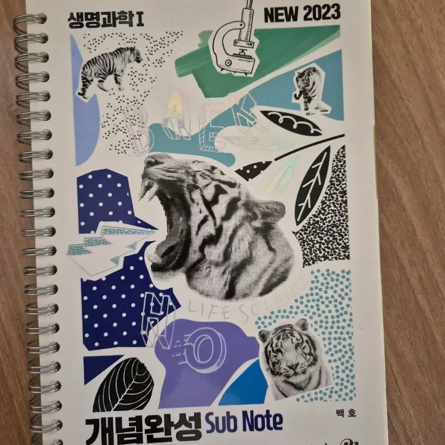 2024백호 개념완성 생명