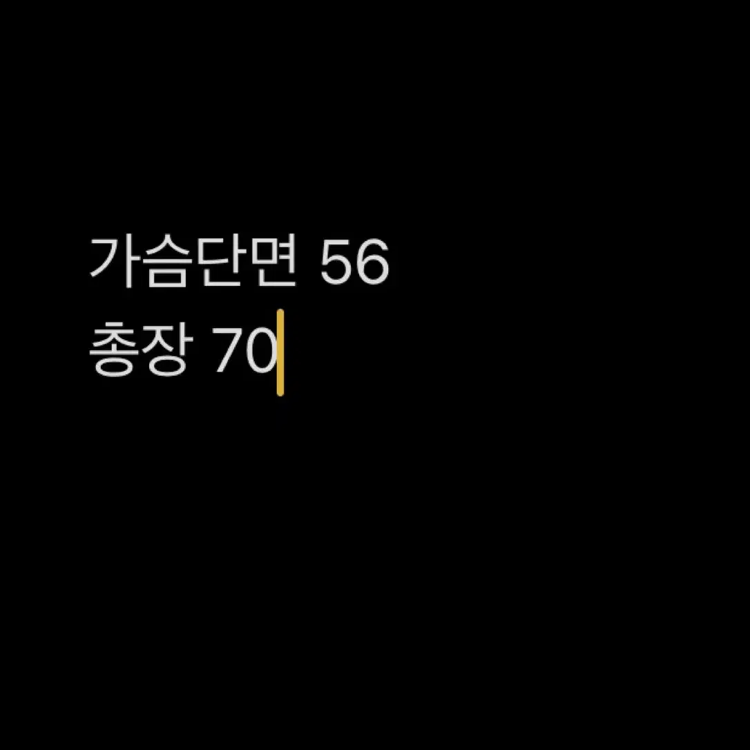 노스페이스 경량패딩자켓 105 XL