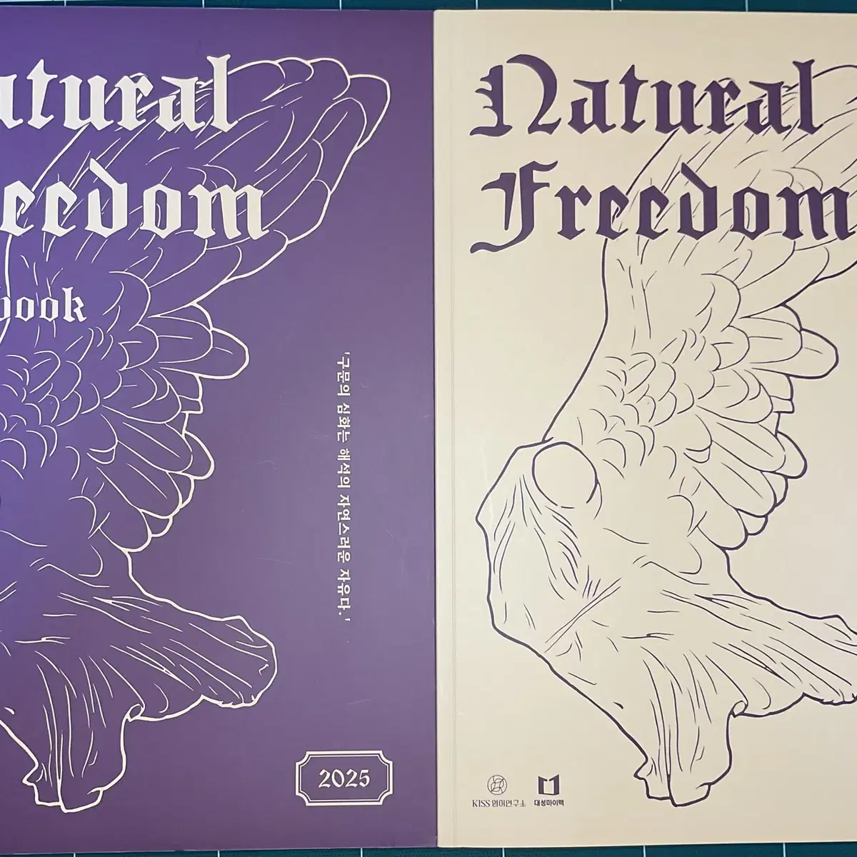 션티 Natural Freedom NF 내츄럴 프리덤 일괄 양도