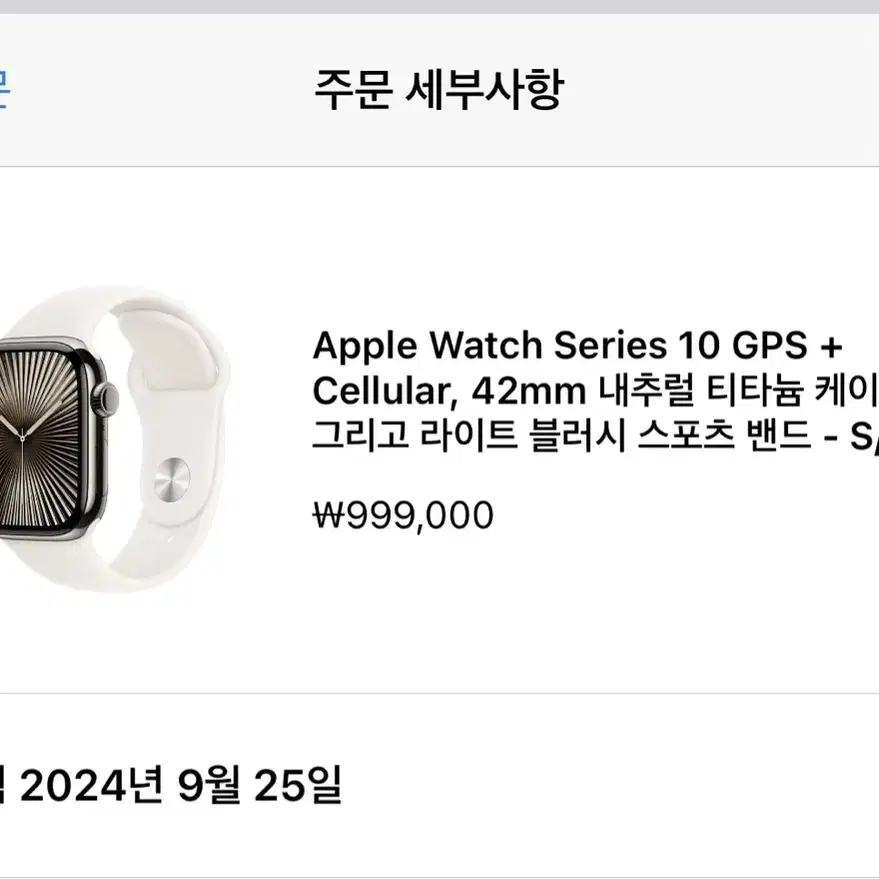 (S급)애플워치10 셀룰러 내추럴티타늄 42mm + 애플 정품 스트랩