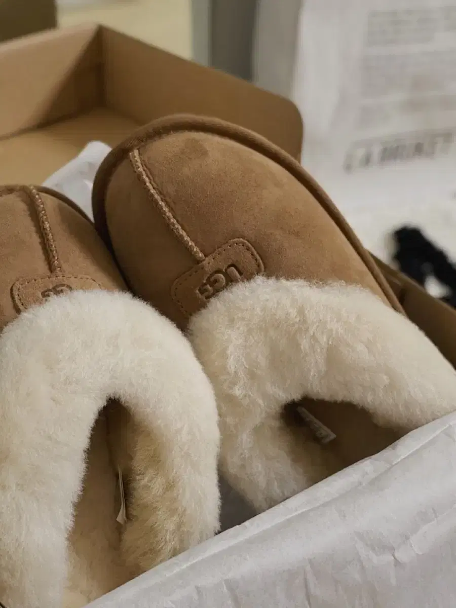 미국 어그 UGG 코케트 체스트넛 250