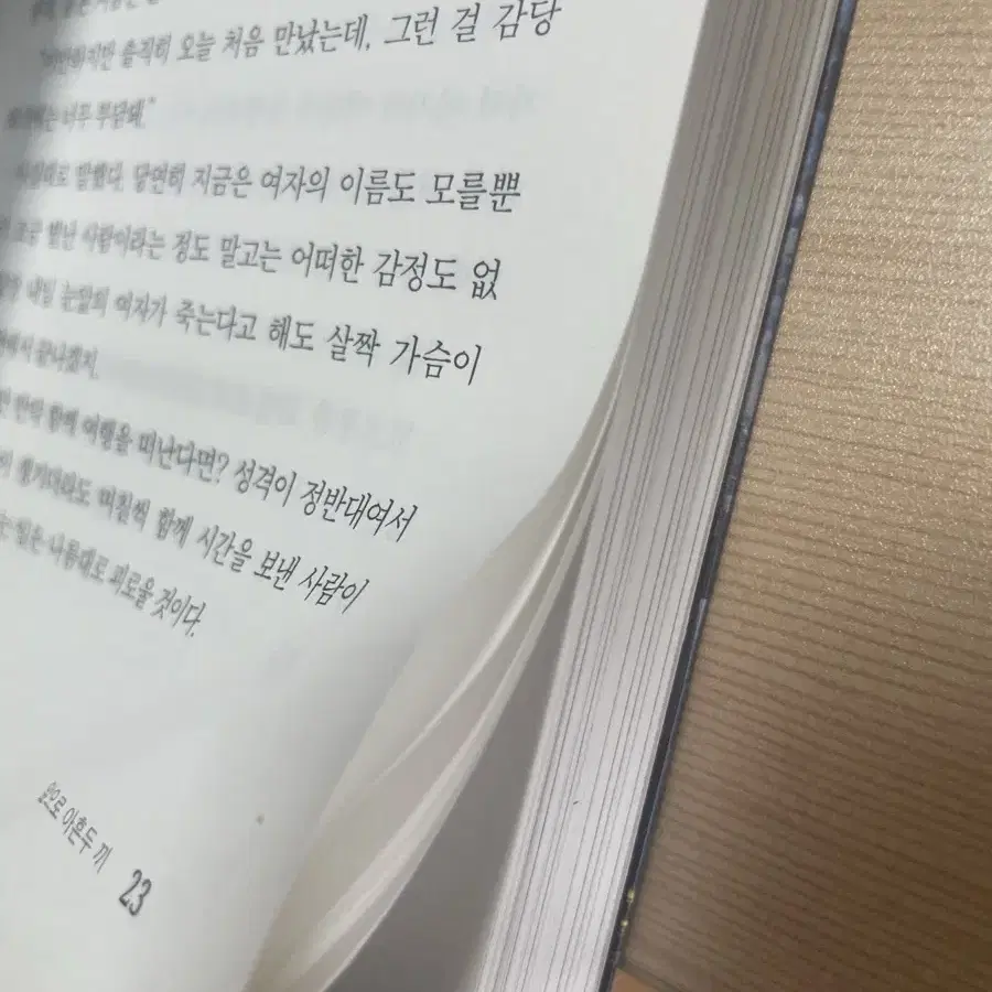 네가 유성처럼 스러지는 모습을 지켜볼 운명이었다 소설책 판매