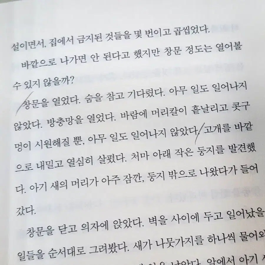 최진영 소설)쓰게될것, 오로라, 해가지는곳으로, 이제야언니에게, 일주일