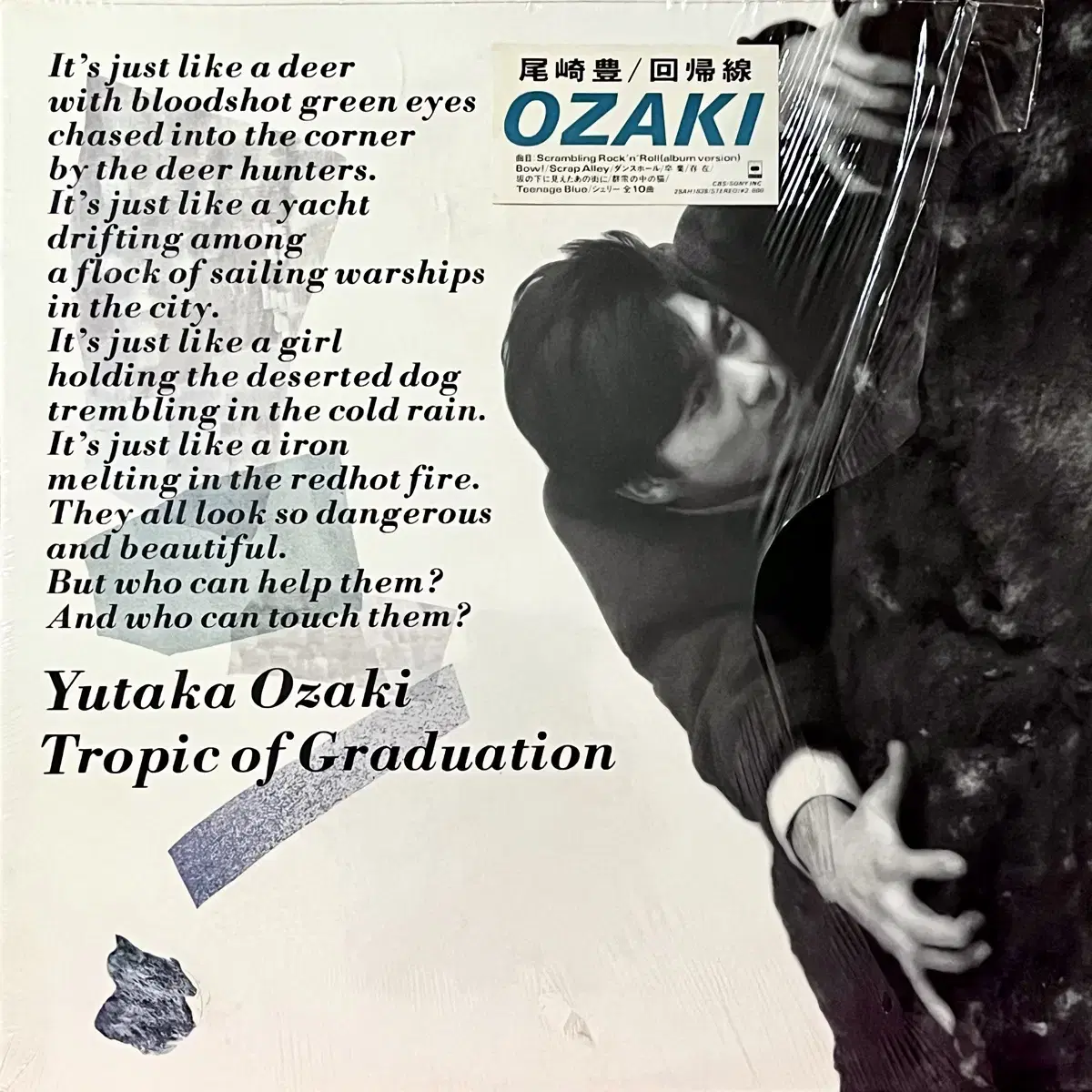 뉴웨이브LP 오자키 유타카 Yutaka Ozaki -회귀선