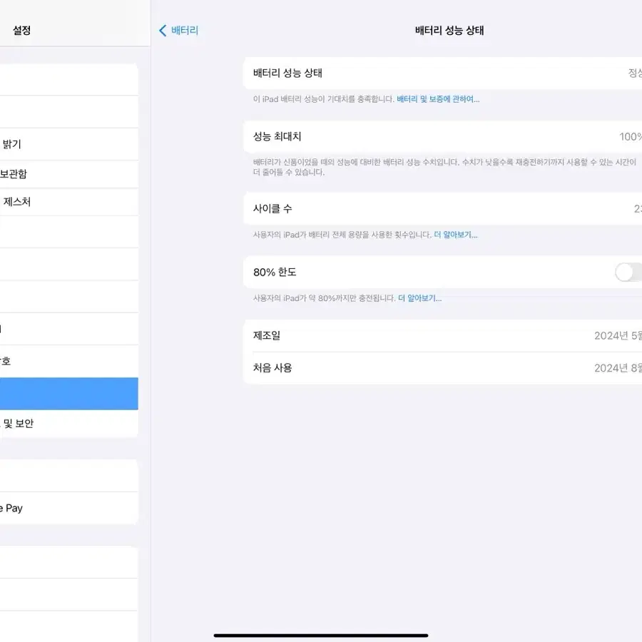 아이패드 프로 m4 13인치 wifi 256gb 정품 팬슬 키보드 세트