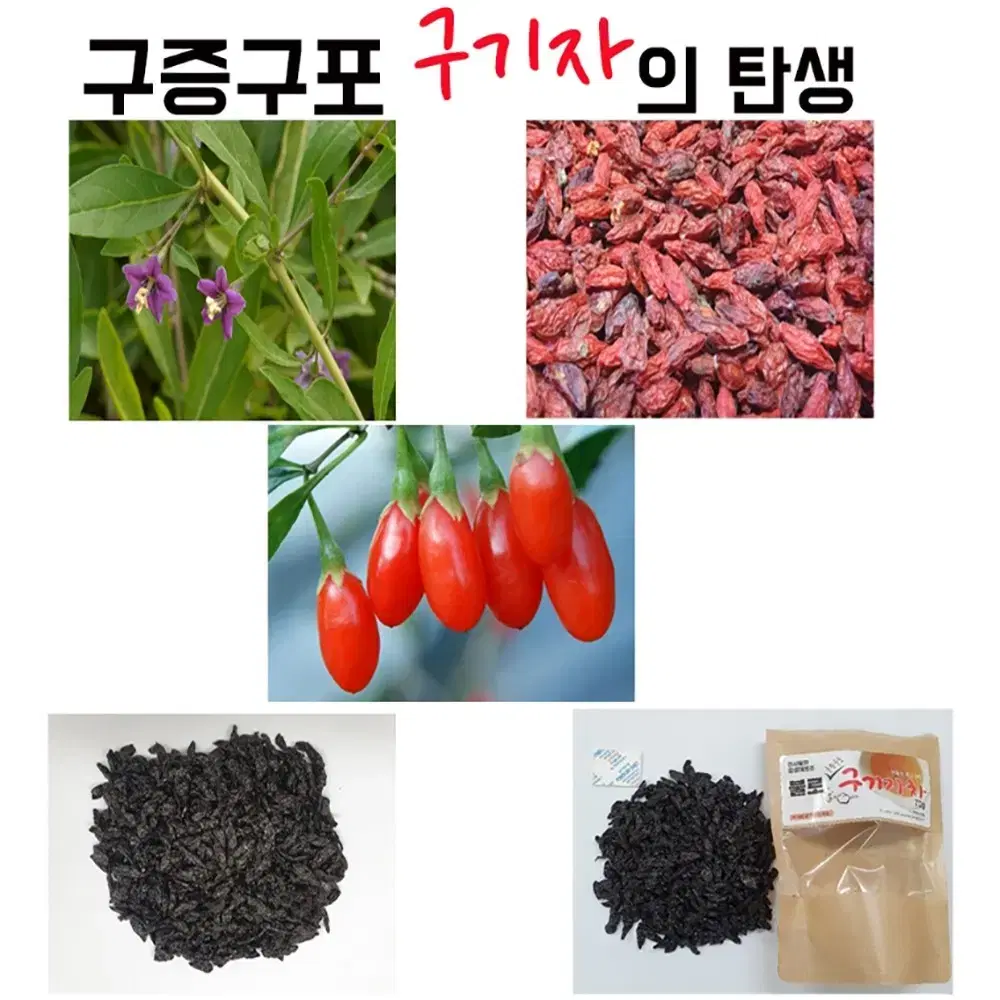 국산 청양 구기자 티백 1.5g X 10EA