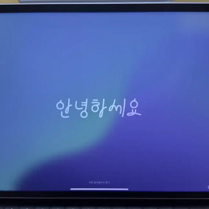 아이패드프로 5세대 12.9인치 1TB 셀룰러 팝니다(매직키보드,펜슬포함