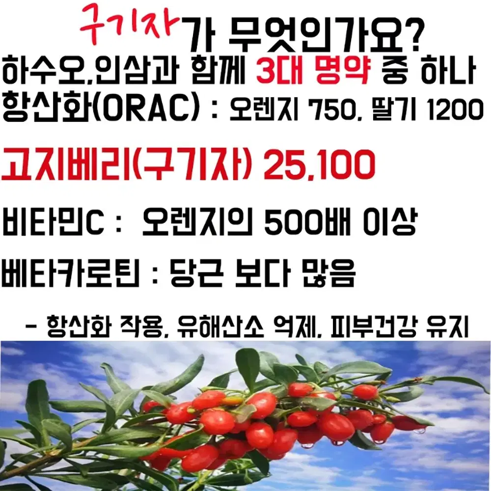 청양 국산 구기자 알갱이&티백 선물 세트 1.5gX20EA/70g 알갱이