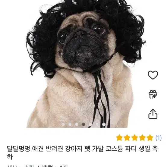 강아지 촌캉스 할머니 가발,옷 팝니다