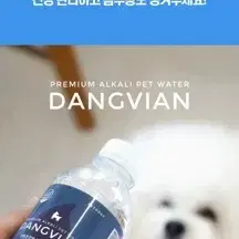 댕비앙 프리미엄 강아지 알칼리수 미네랄 음료 500ml 10병