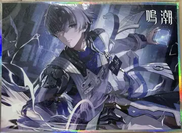 TGS 색지
