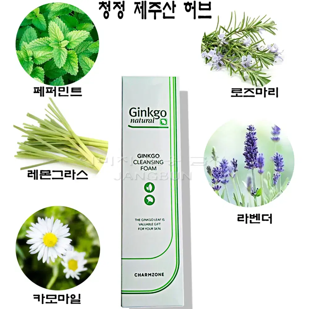 긴세월 사랑받는 참존 징코 폼 클렌징크림 180ml