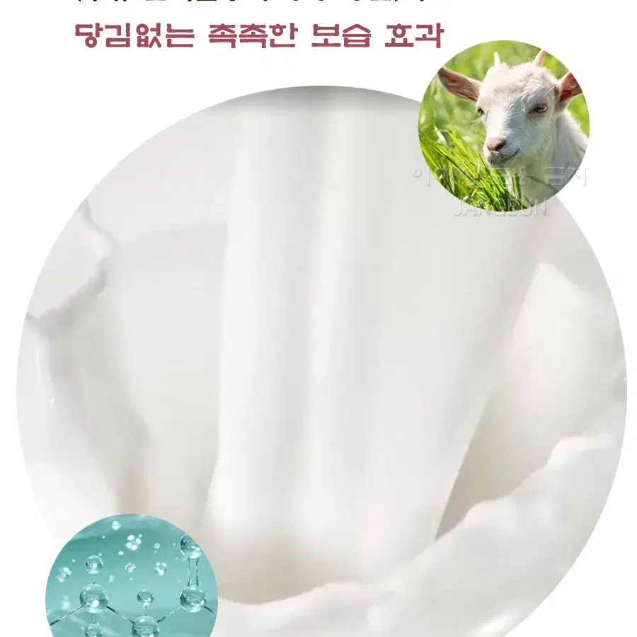 긴세월 사랑받는 참존 징코 폼 클렌징크림 180ml