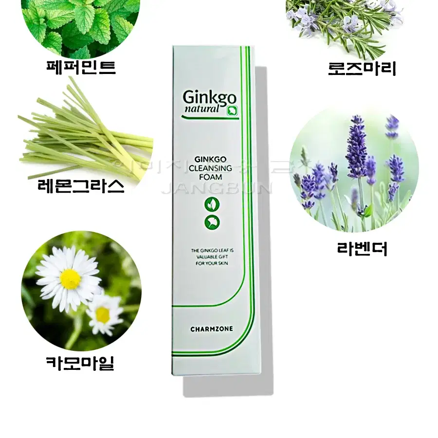 긴세월 사랑받는 참존 징코 폼 클렌징크림 180ml