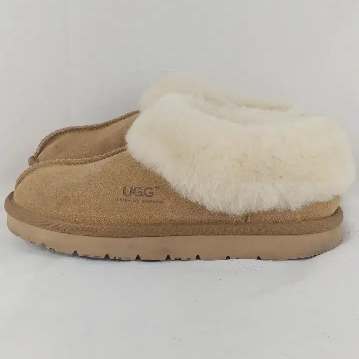 240 UGG 어그 타제트 슬립온 겨울신발 방한화