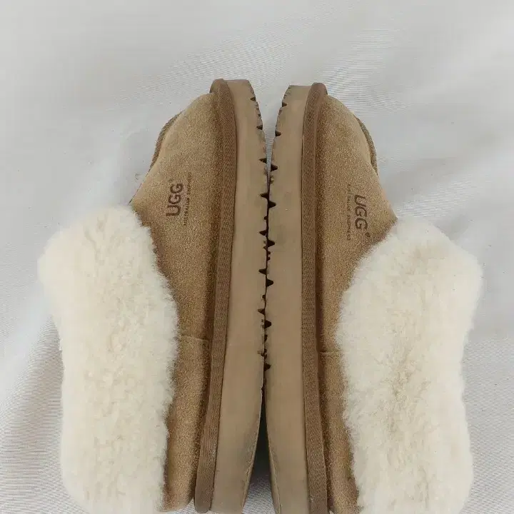 240 UGG 어그 타제트 슬립온 겨울신발 방한화