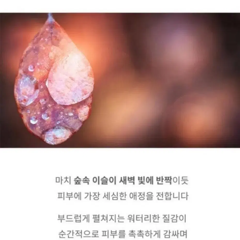 (무료배송) 카밍 진정 앰플