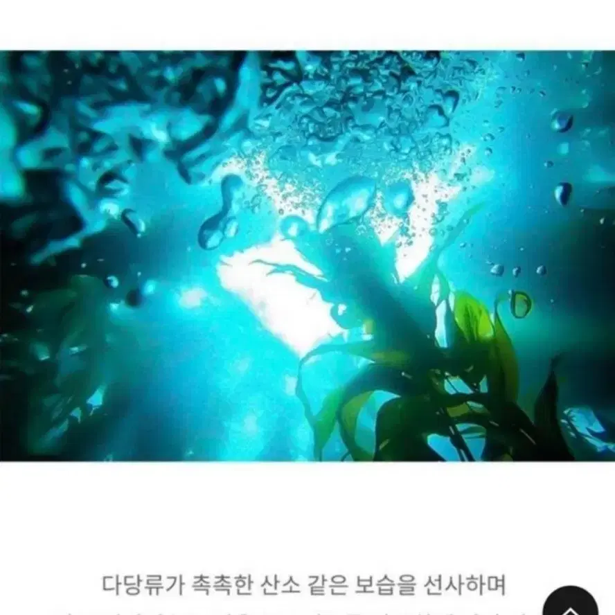 (무료배송) 카밍 진정 앰플