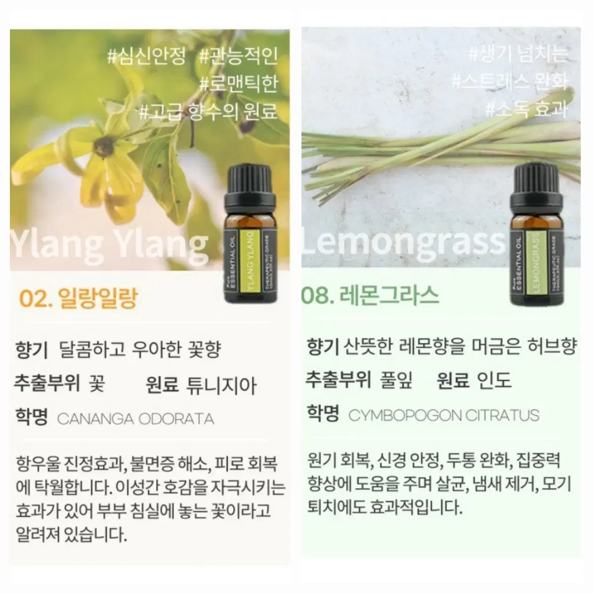 1+1)레노포프 퓨어 아로마 에센셜 오일 10ml