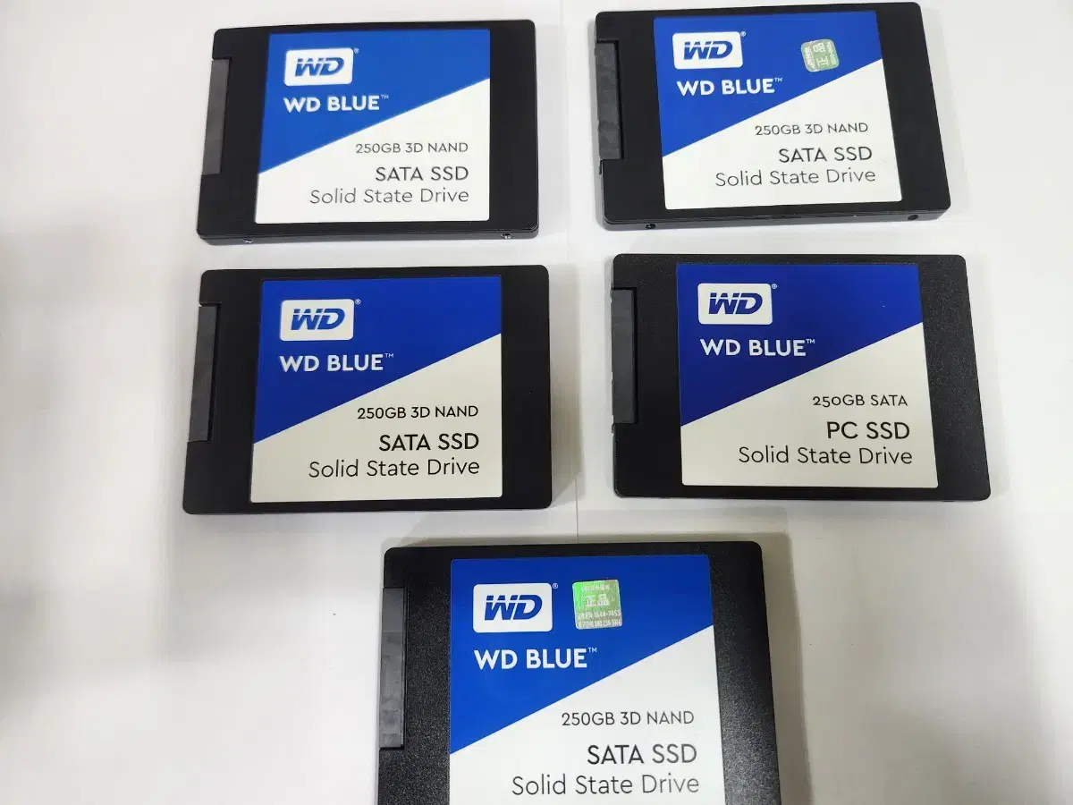 WD 블루 250G SSD  5개 일괄