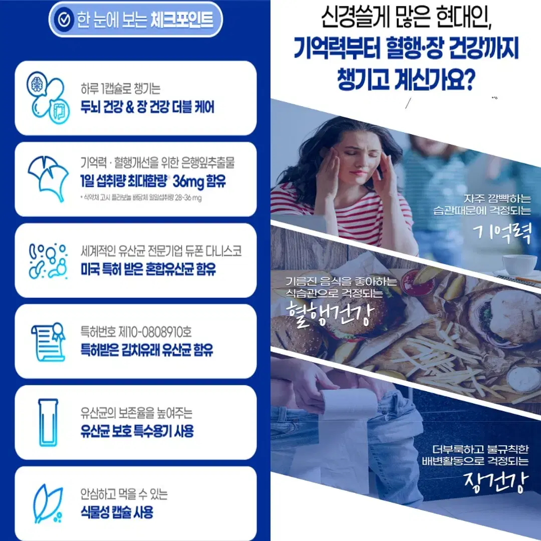 내츄럴플러스 기억력개선 앤 프로바이오틱스 유산균 450mg 30캡슐