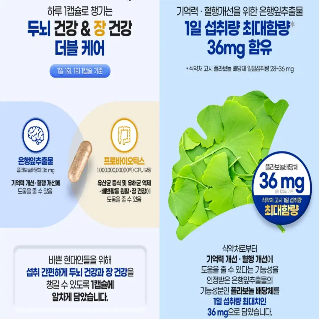 내츄럴플러스 기억력개선 앤 프로바이오틱스 유산균 450mg 30캡슐