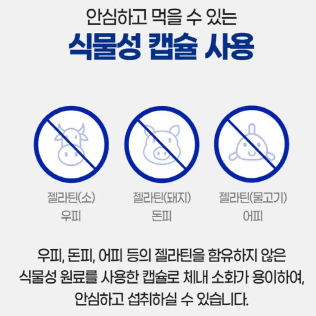 내츄럴플러스 기억력개선 앤 프로바이오틱스 유산균 450mg 30캡슐