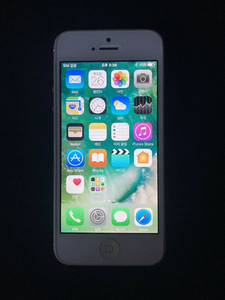 iPhone5 16GB Silver  50029