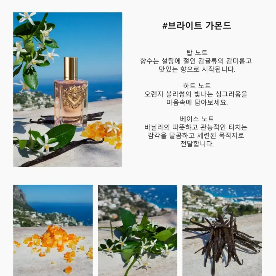 (새상품)-무배/ 돌체앤가바나 디보션 오 드 퍼퓸 30ml