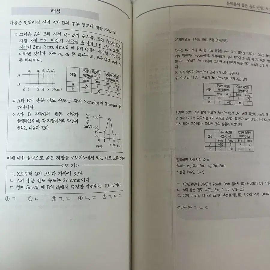 2025시대인재 박지윤 비타민n제 비유전 1.2.3권