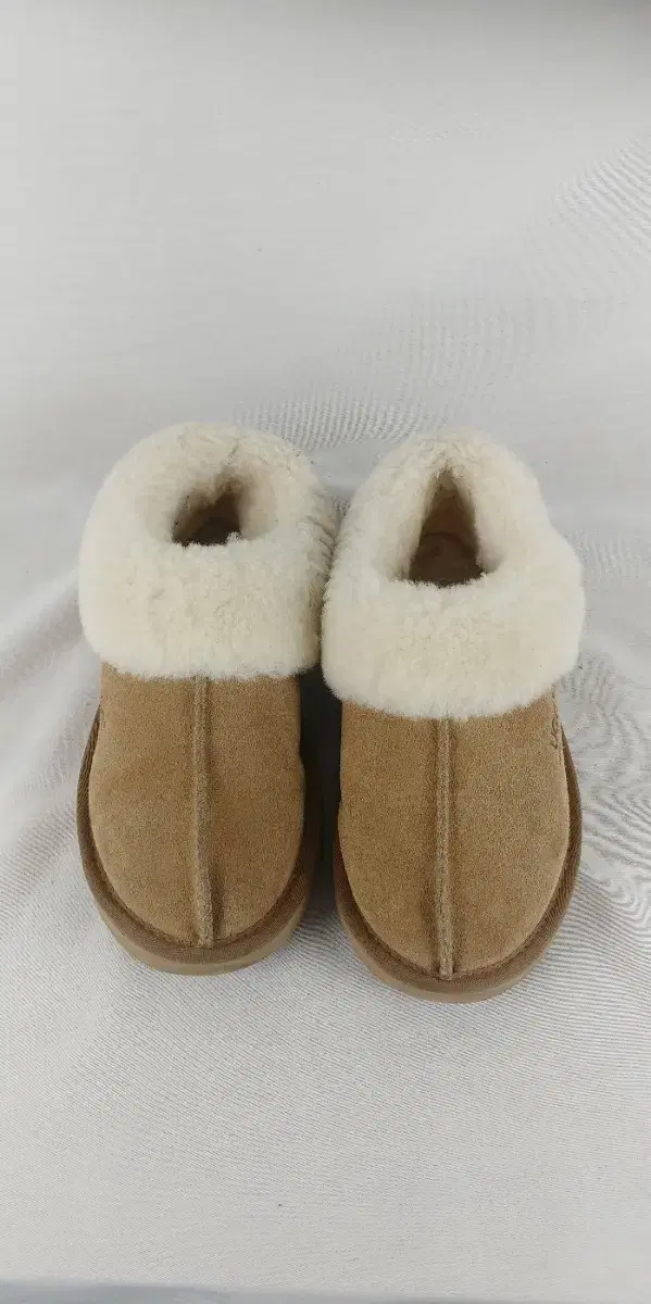 240 UGG 어그 타제트 슬립온