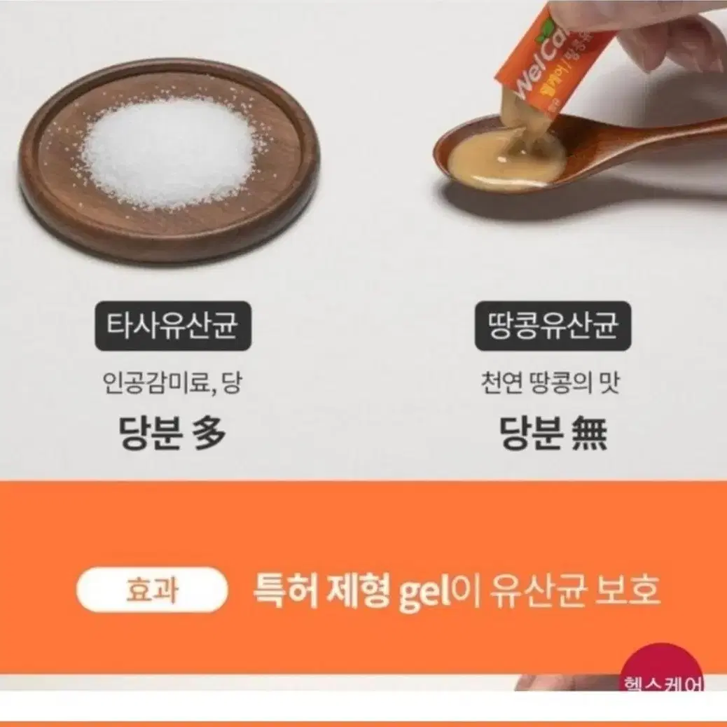 땅콩유산균