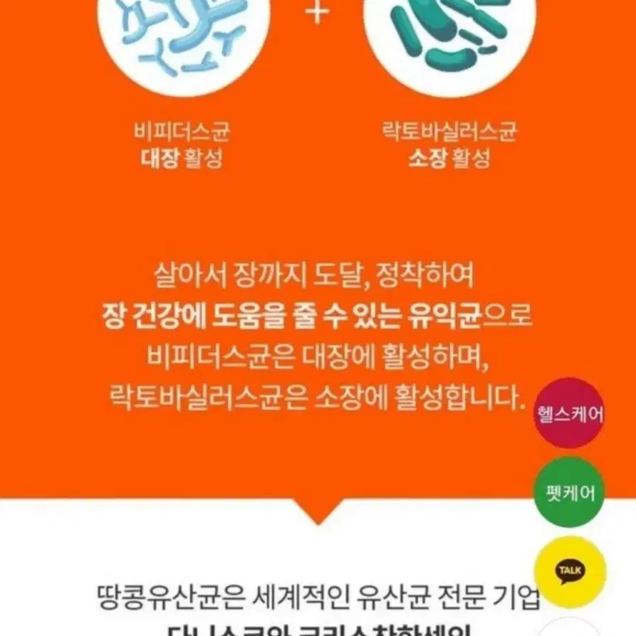 땅콩유산균