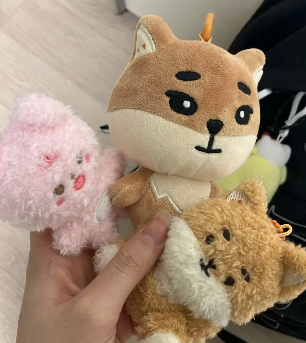 데이식스 케둥이 필끼