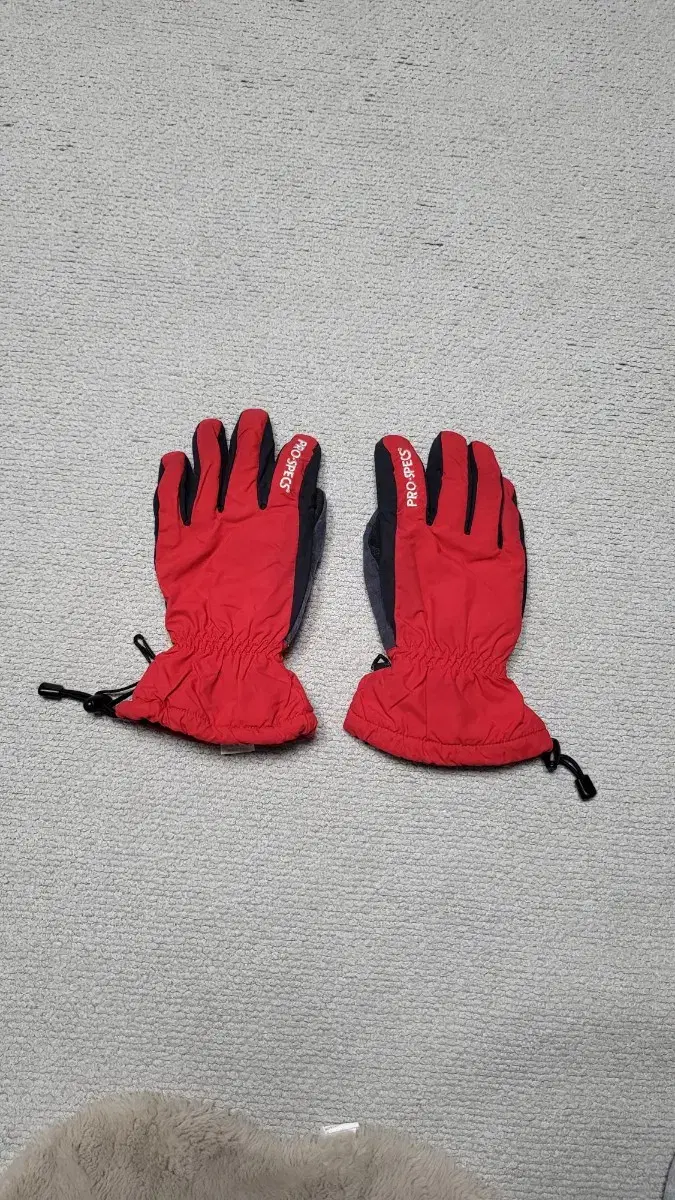 Ski Cold Weather Gloves Adult