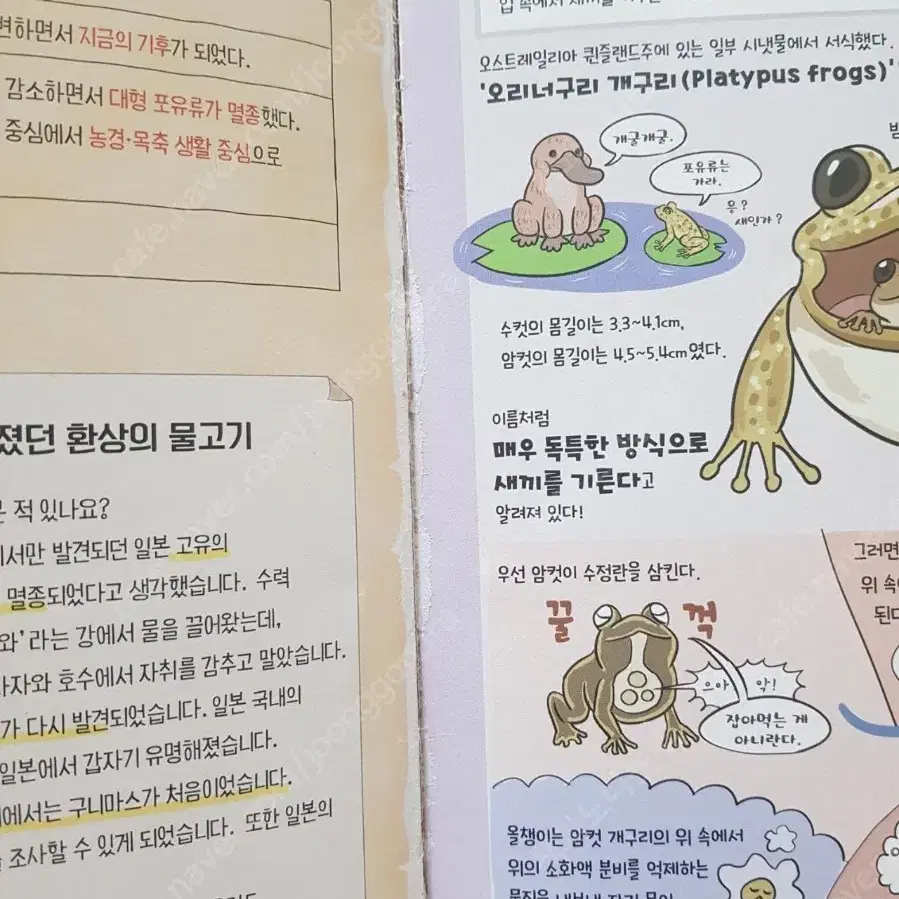 이유가있어서멸종했습니다.왠지이상한멸종도감.생물도감.과학도서.초등도서