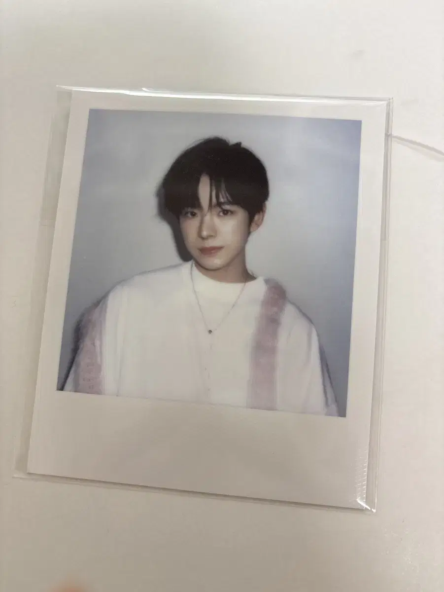 Season's Greetings Uushi polaroid sells seasons greetings sakuya pola nct wish riku