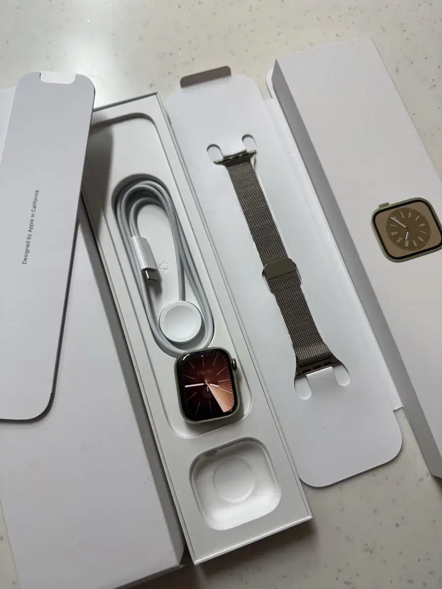 Apple Watch 8 Stainless Steel 41mm SS Class H2